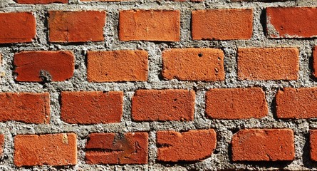 Obraz premium Brick wall for background