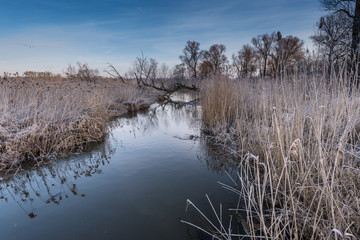 Lower Oder Valley National Park in winter
