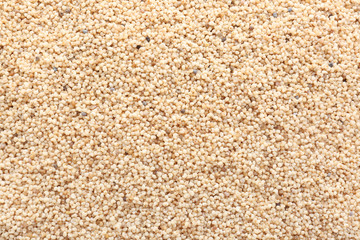 Many white poppy seeds as background