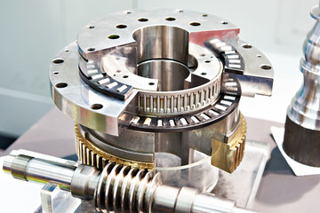 Worm gear and bearings