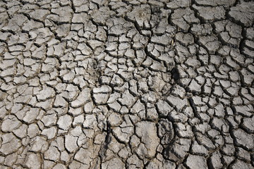 Climate warming dry chapped land