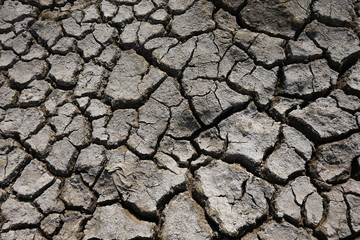 Climate warming dry chapped land