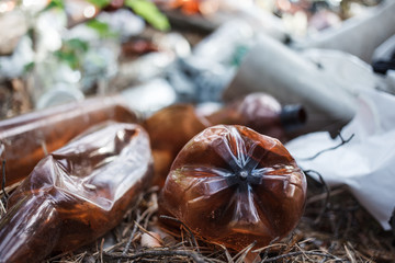 Environmental pollution. Garbage in a forest. People illegally throw out the garbage in the forest. Concept of man and nature. Illegal garbage dump in nature. .