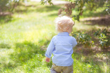 Little boy with blond hair in blue shirt in summer in a park
