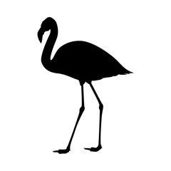 Flamingo Silhouette