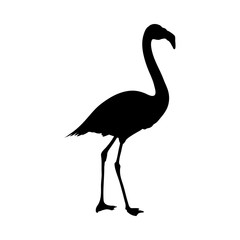 Flamingo Silhouette