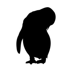 Penguin Silhouette