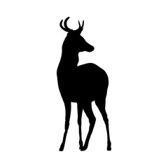 Deer Silhouette