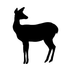 Deer Silhouette