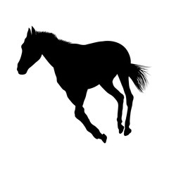 Horse Silhouette