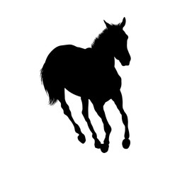 Horse Silhouette
