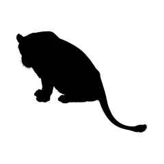 Lion Silhouette