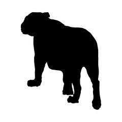 Lion Silhouette