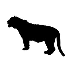 Tiger Silhouette