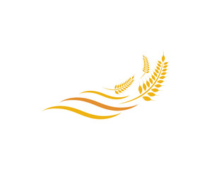 Agriculture wheat Logo Template vector icon design