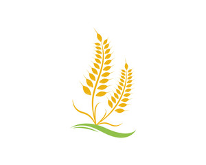 Agriculture wheat Logo Template vector icon design