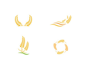 Agriculture wheat Logo Template vector icon design