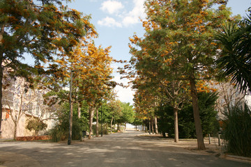 Naklejka premium CARTAGENA PARK, HISZPANIA