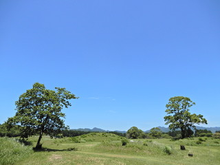 Fototapeta premium 古墳群、樹木、芝、風景、山、丘、農業