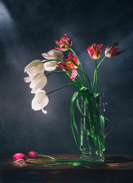 Classic still life with beautiful red and white tulip flowers bouquet in transparent glass vase. Art photography.