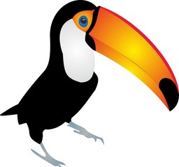 Tucán