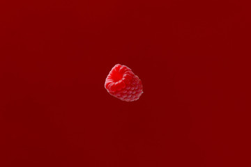 Fresh red, pink bright single raspberry isolated on red background. Single red raspberry isolated on red background.