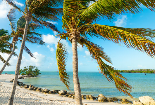 Beautiful Sombrero Beach In Florida