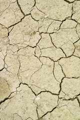 Dry cracks in sandy soil, Malta