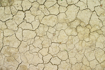 Dry cracks in sandy soil, Malta