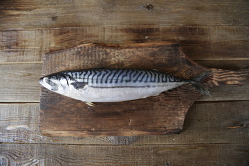 Fresh mackerel isolated on a wooden cutting board and on a wooden rustic background with copy space...