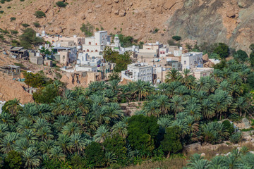 Fototapeta na wymiar Village in Wadi Tiwi, Oman