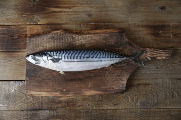 Fresh mackerel isolated on a wooden cutting board and on a wooden rustic background with copy space...