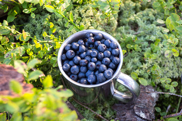 cup of blueberries