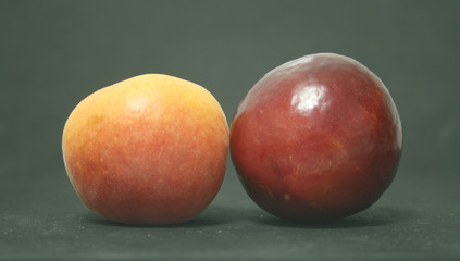 CIRUELA Y ALBARICOQUE