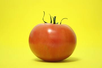 TOMATE SOBRE AMARILLO