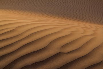 Fototapeta na wymiar Dunes of Sharqiya (Wahiba) Sands, Oman