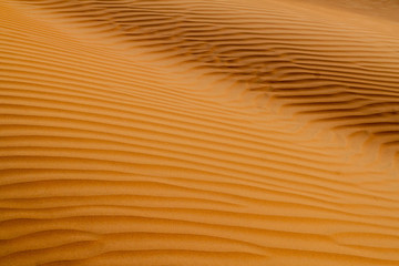 Sand dunes of Sharqiya (Wahiba) Sands, Oman