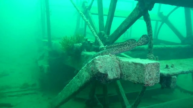 Burbot on the paddlewheel of goldrush ship AJ Goddard