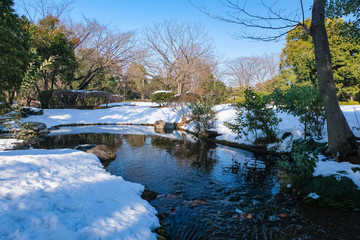 東京 雪の残る国会前庭（憲政記念公園）