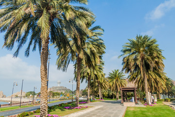 MUSCAT, OMAN - FEBRUARY 23, 2017: Park at Mutrah Corniche in Muscat, Oman