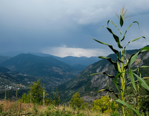 Amazing caucasus mountains of Khulo village, Adjara region, Georgia. Corn bushes. View from Tago village. Colorful autumn season