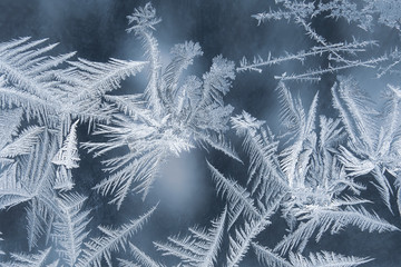frosty patterns on the window glass closeup. winter season.