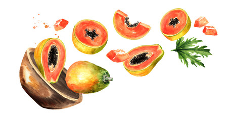 Bowl with ripe papaya. Hand drawn horizontal watercolor illustration, isolated on white background