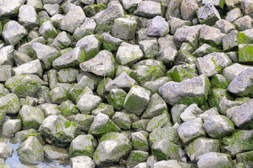 stone bricks wallpaper with grass