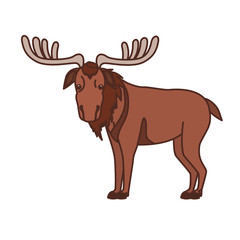 Moose forest animal of canada design