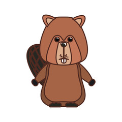 Obraz premium Beaver forest animal of canada design