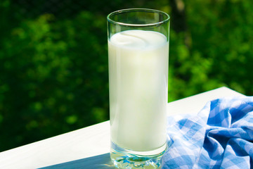  A glass of milk on the background of greenery. Breakfast in the open air.