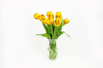 Spring Flowers. Fresh yellow Tulips Bouquet.