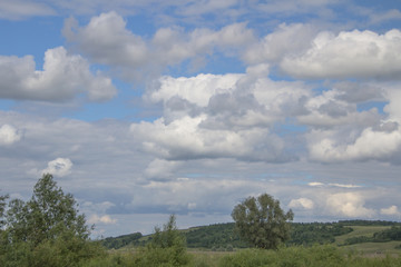Fototapeta na wymiar summer landscape with trees under the blue sky and white clouds