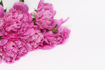 Beautiful pink peony flowers on white  table with copy space for your text top view and flat lay style.
